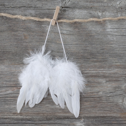 Angel wings on grey wooden background